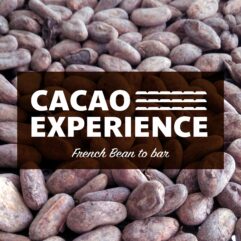 Cacao Expérience