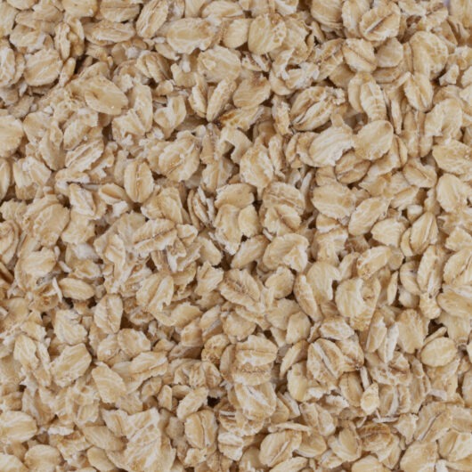 FLOCONS AVOINE GROS BIO VRAC 2,5kg