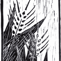 Pain Noir Pain Blanc