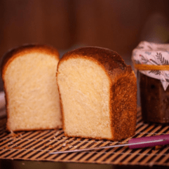BRIOCHE NATURE BIO 600g