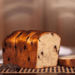 BRIOCHE CHOCOLAT BIO 600g